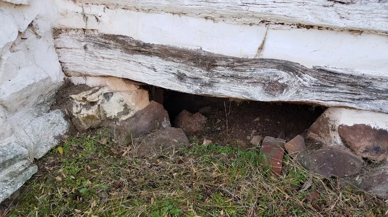 crawl spaces 1697471428