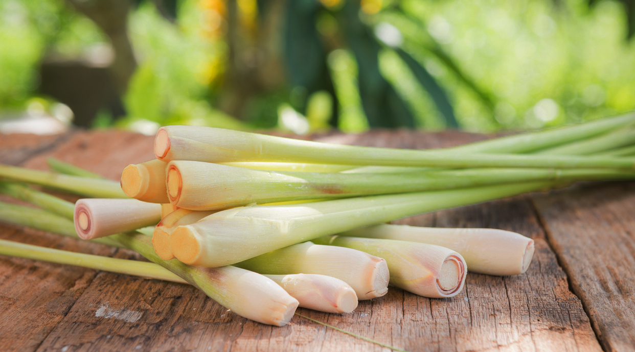 lemon grass istock 1134579077
