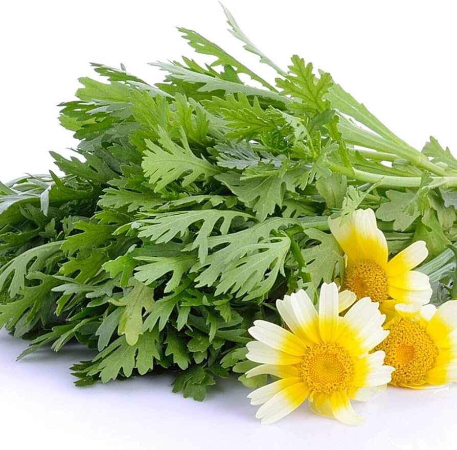 71b4hpjhk0lacuf8941000ql80