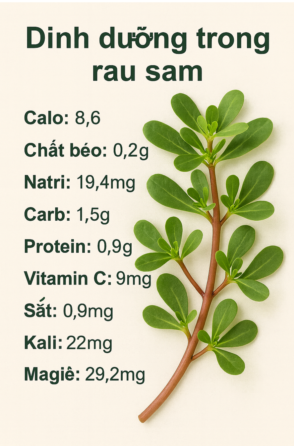 dinh duong trong rau sam