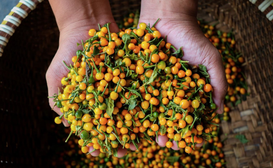 anh chup man hinh 2025 11 18 luc 152104