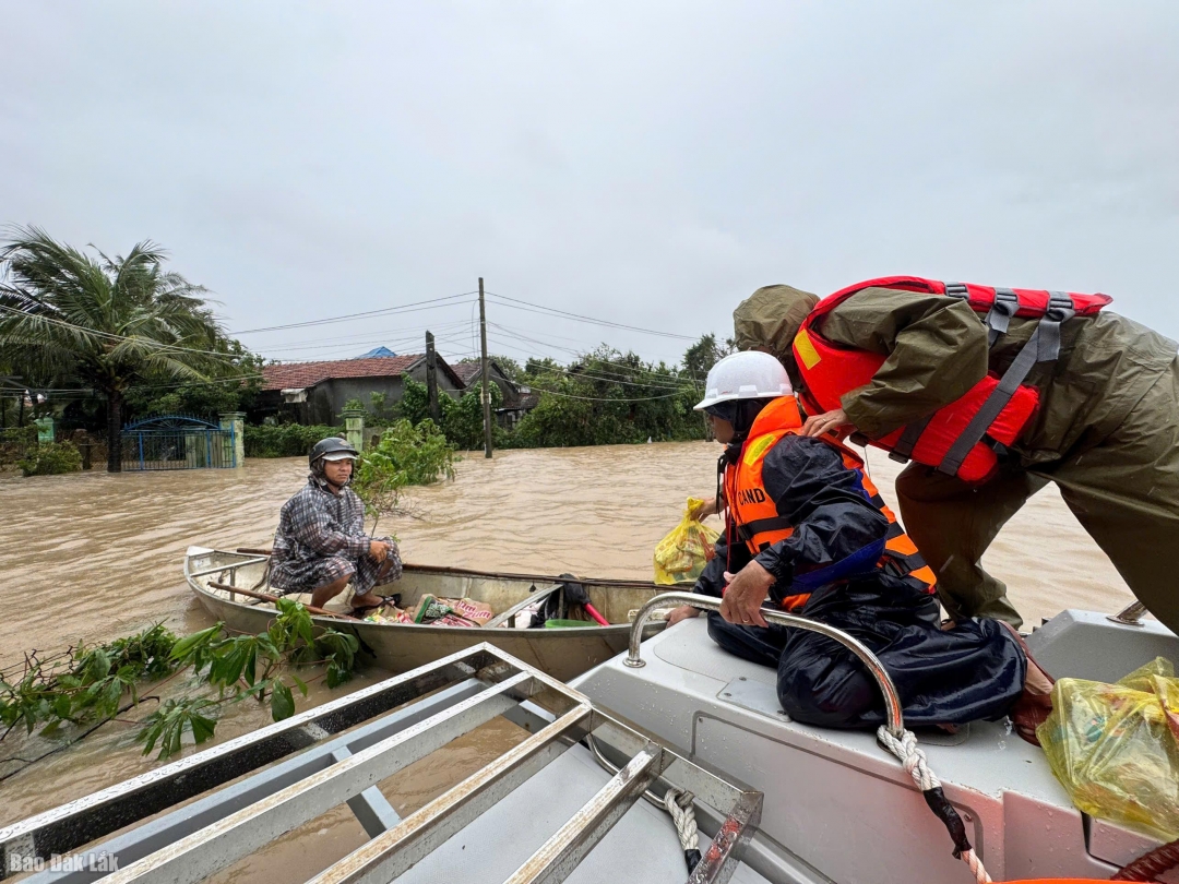 honhu420251121222034