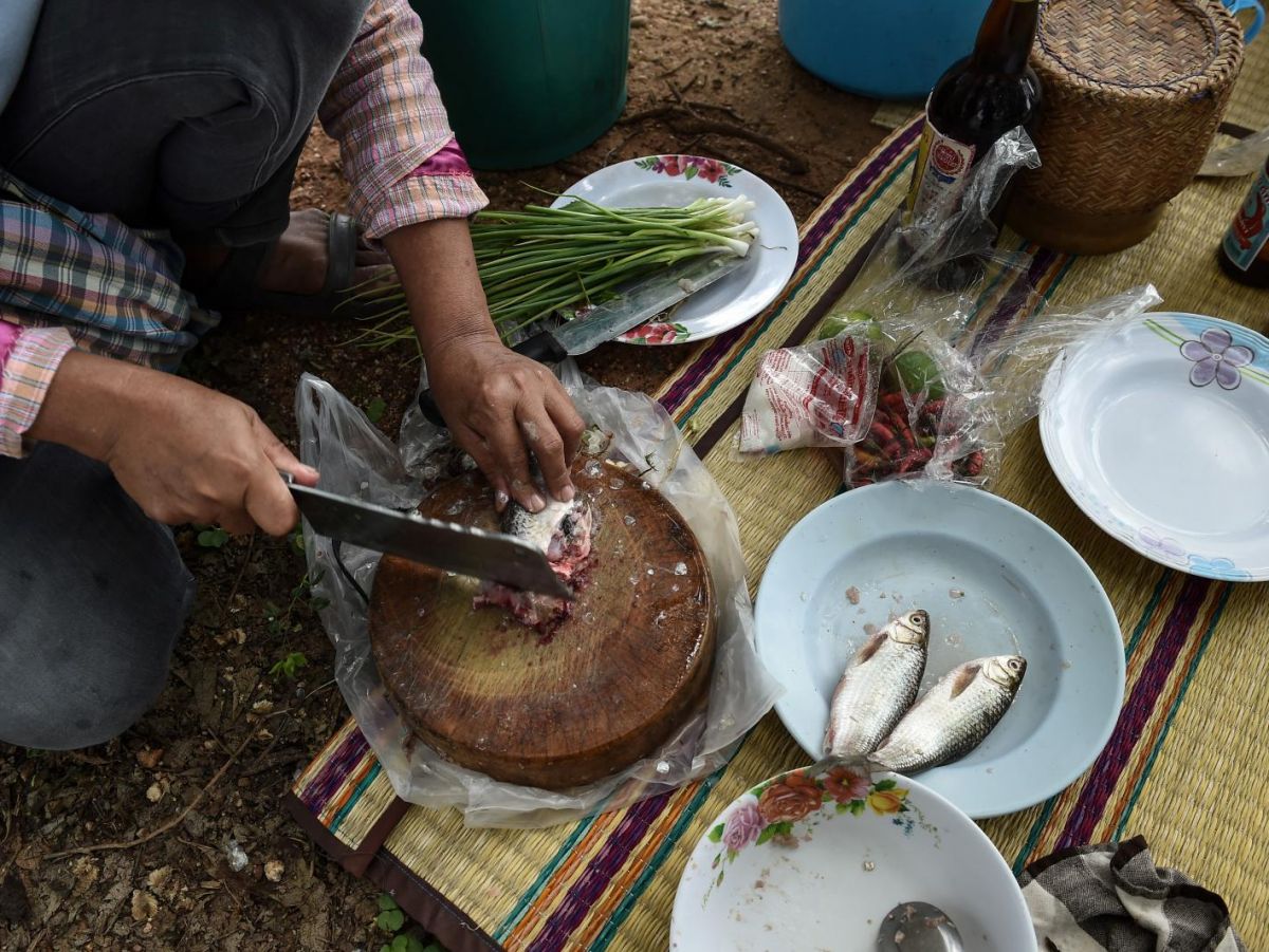 goi ca song co the gay ung thu