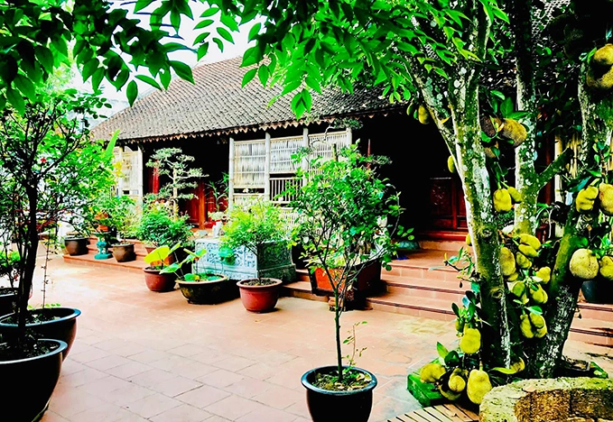 biet phu vuong rau 13 1630604643