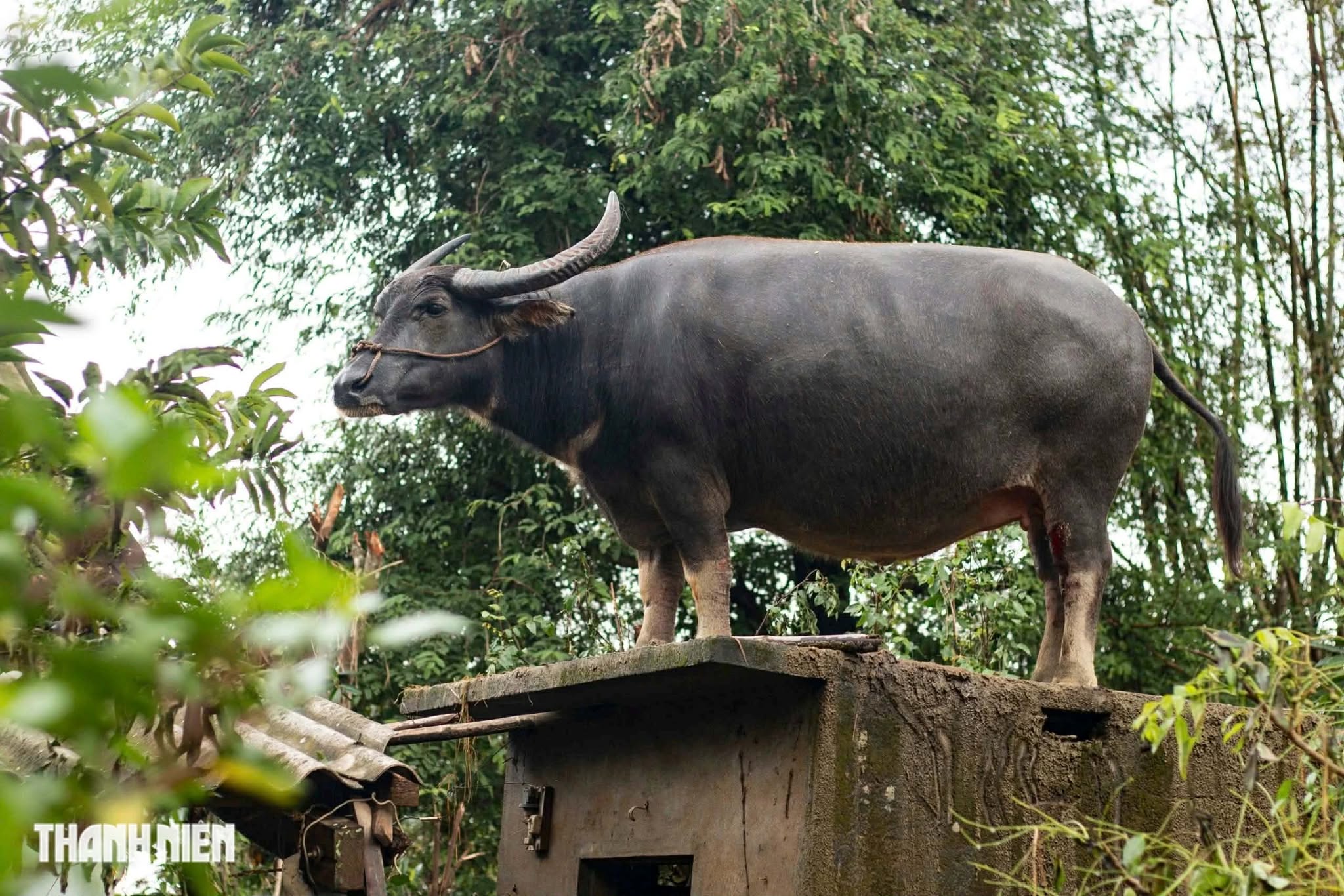 58881051016860402893576061031968633695359221n