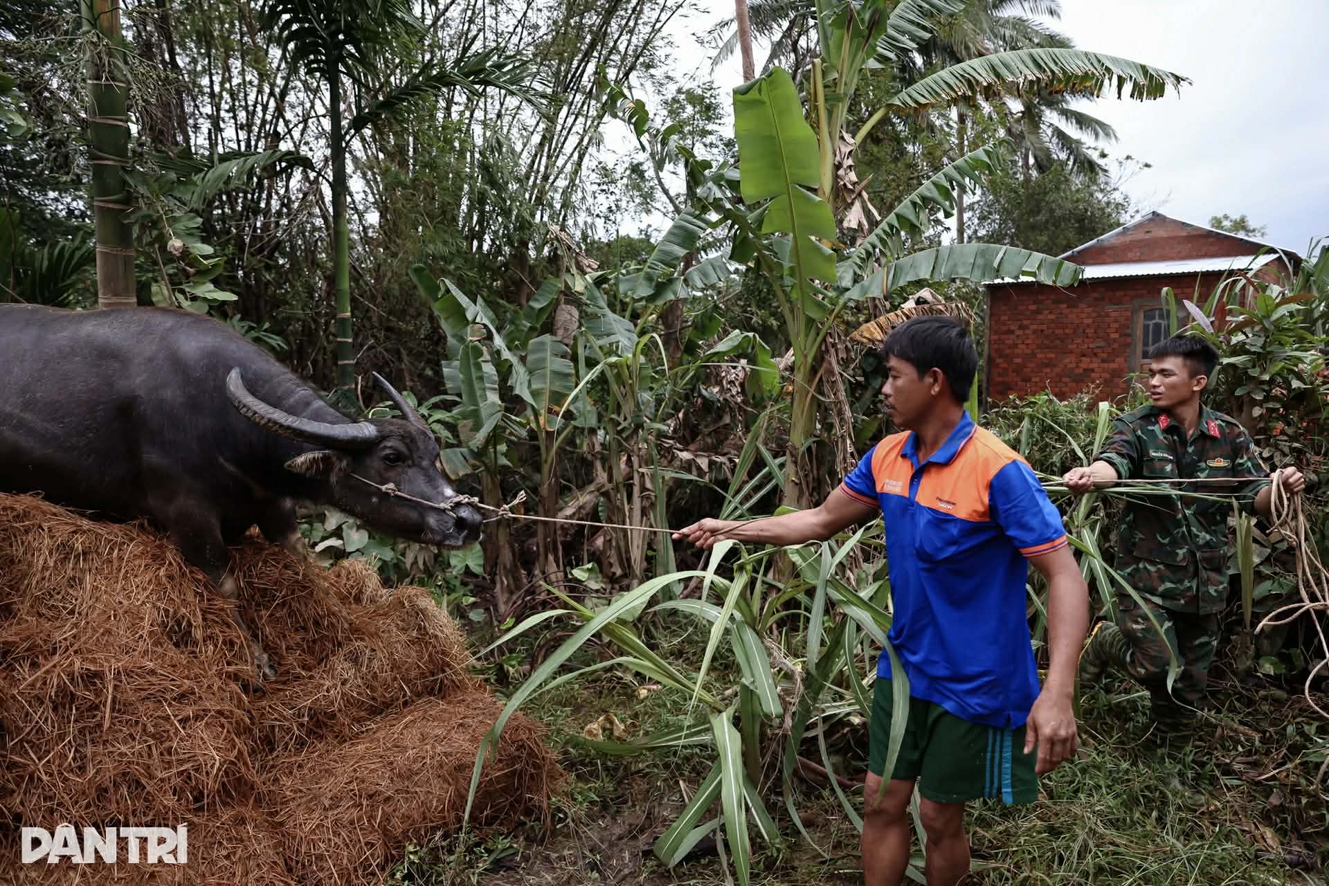 58892498318587652150288274041830298657416905n