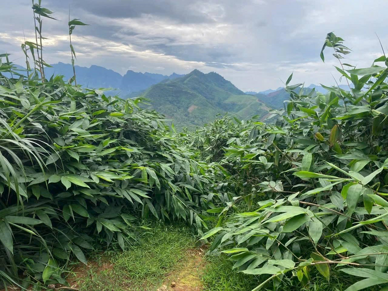 417143 638917301052400962 14482538