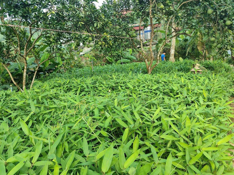 417143 638917301059429456 14482615