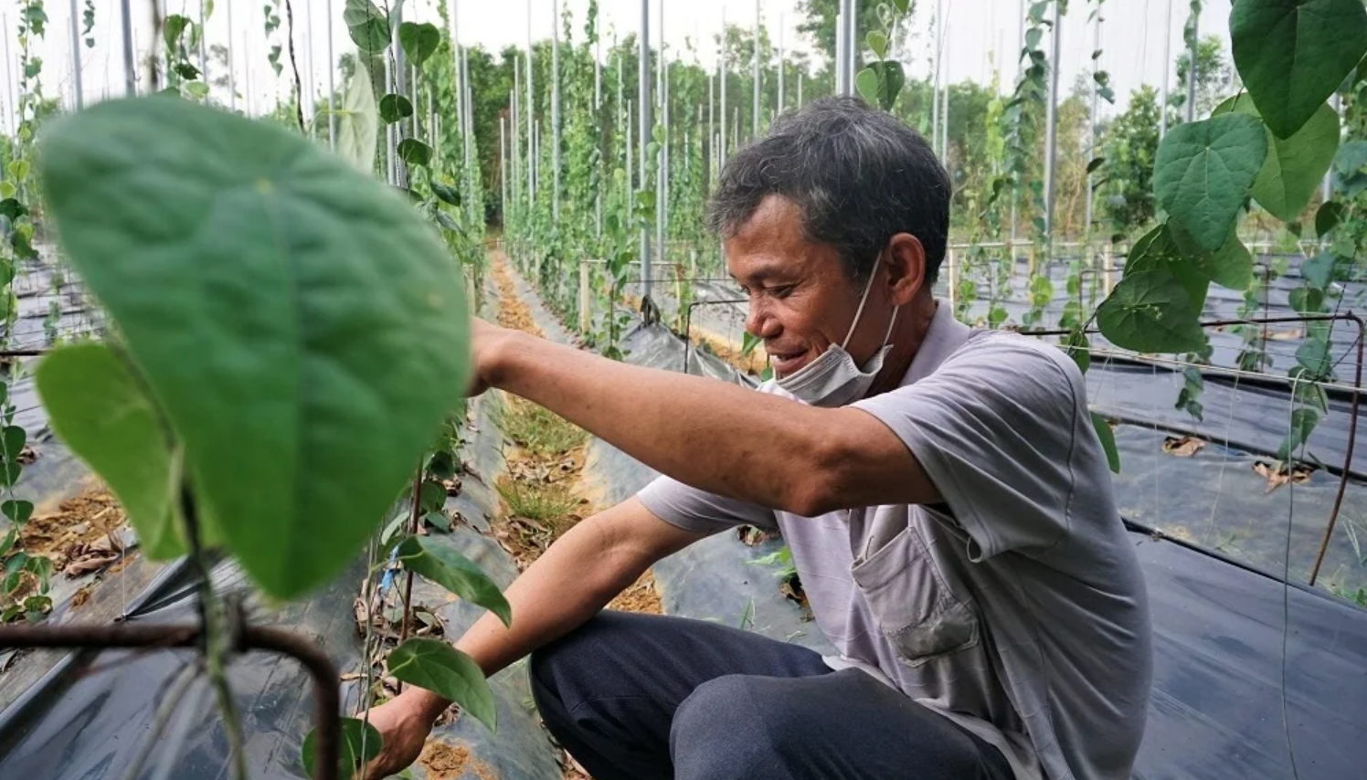 anh chup man hinh 2025 11 27 luc 143218