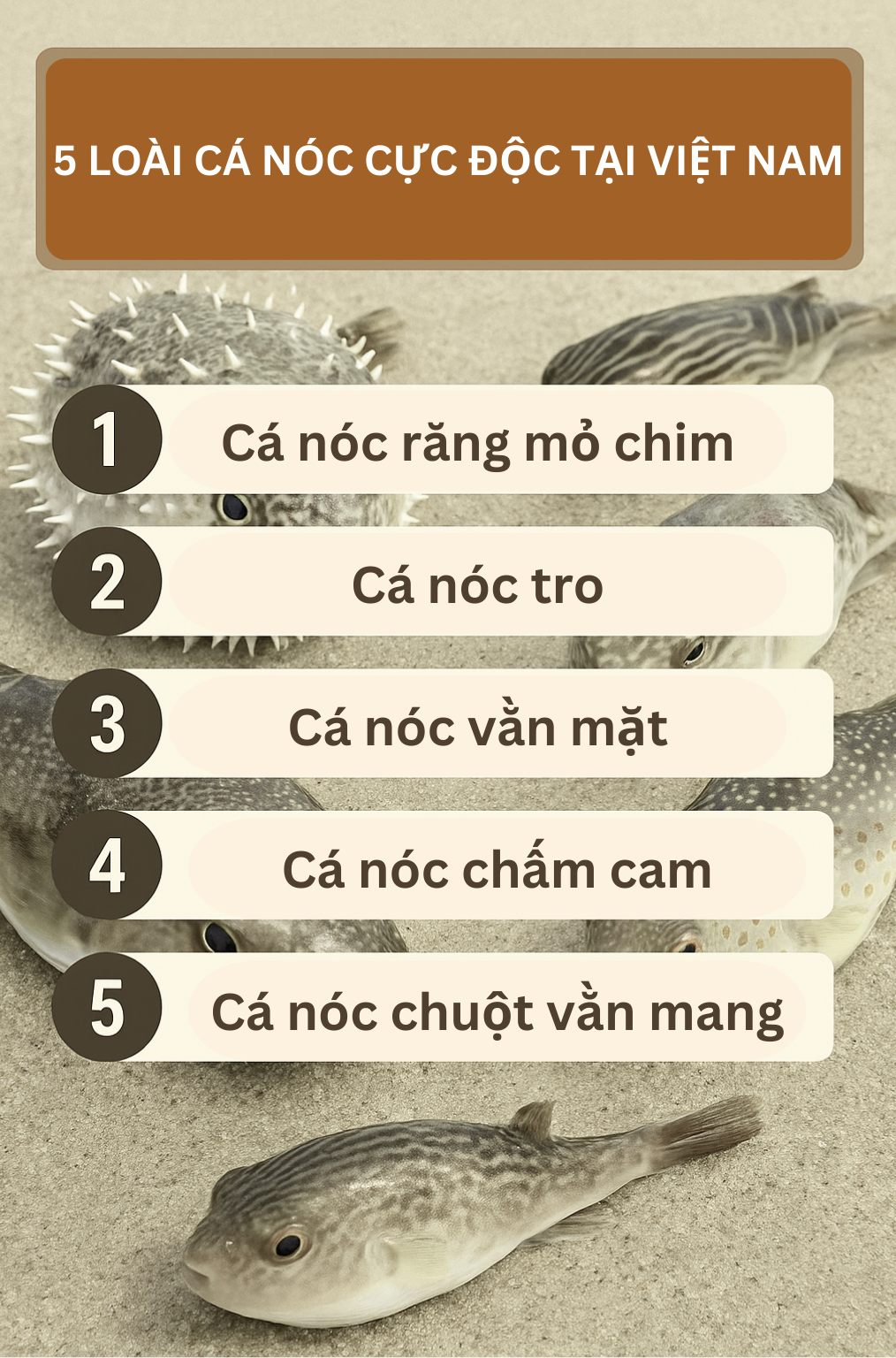 5 loai ca noc cuc doc tai viet nam