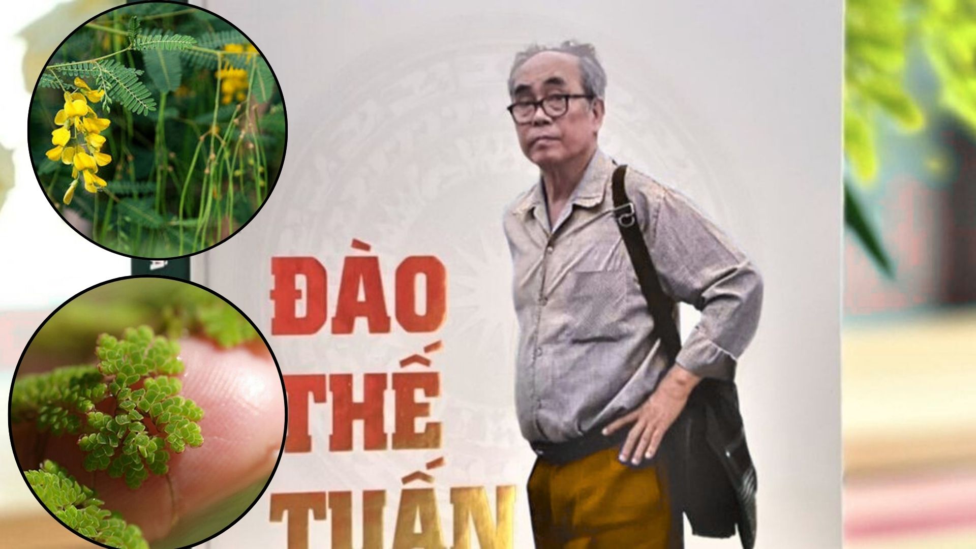 hat nano nhua co the truyen tu me sang thai nhi o chuot 2