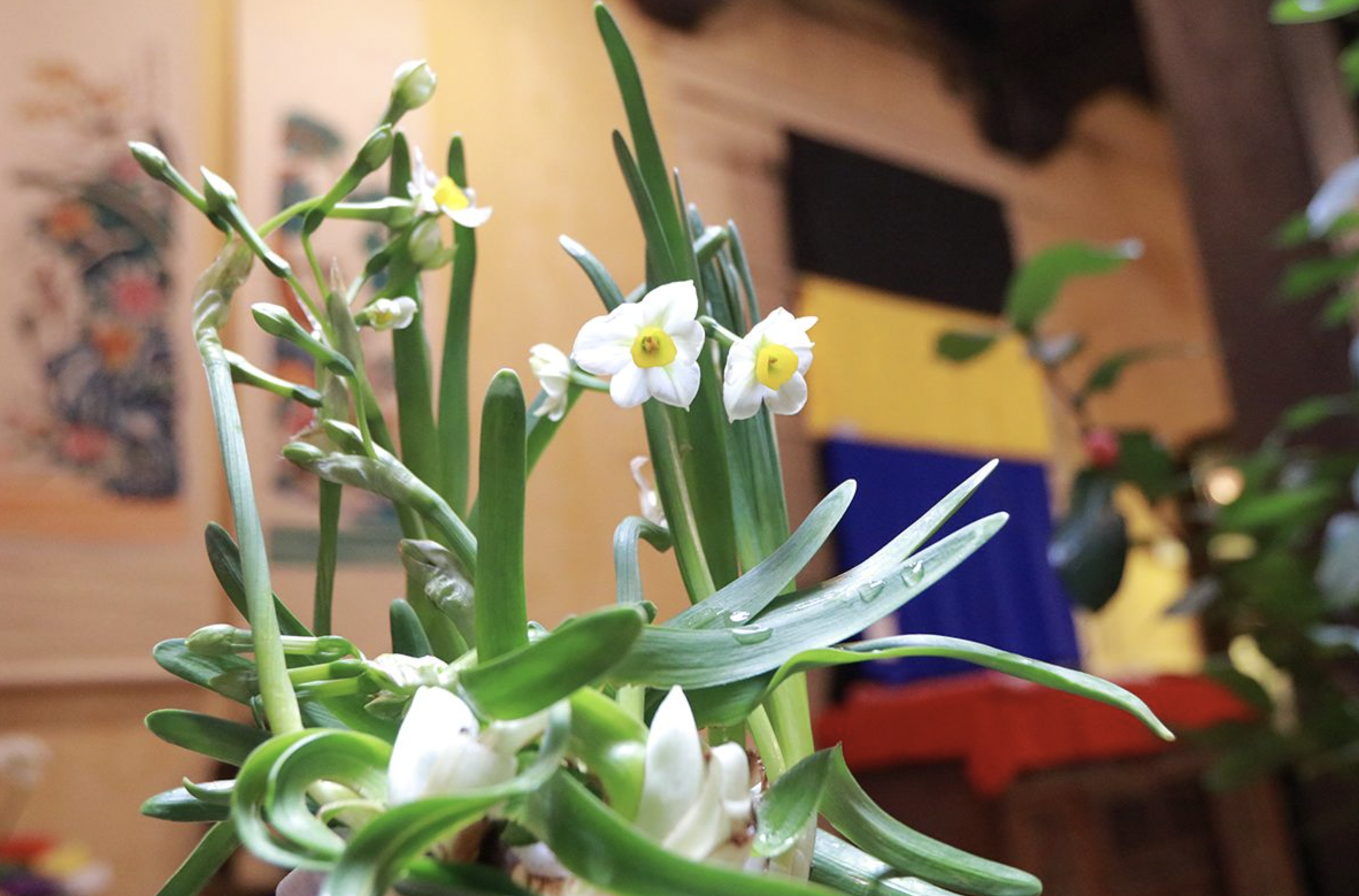 screenshot 2025 11 30 at 151131