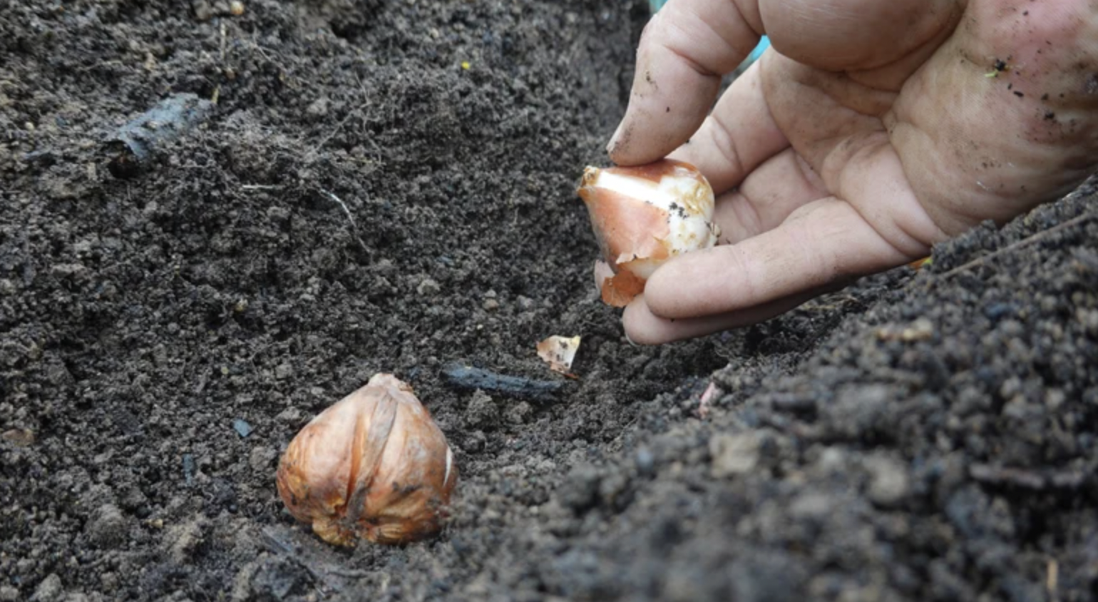 screenshot 2025 11 30 at 151204