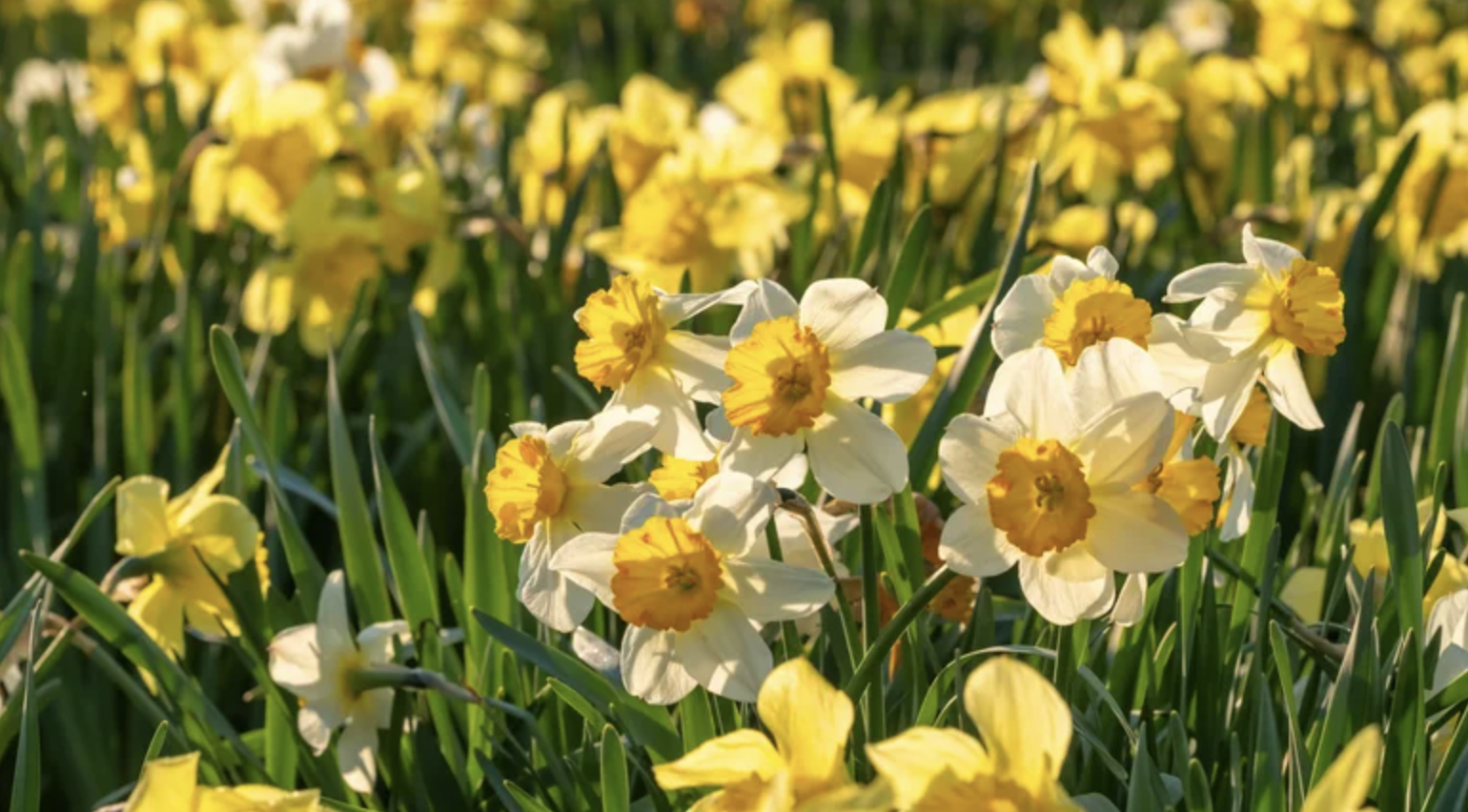 screenshot 2025 11 30 at 151212