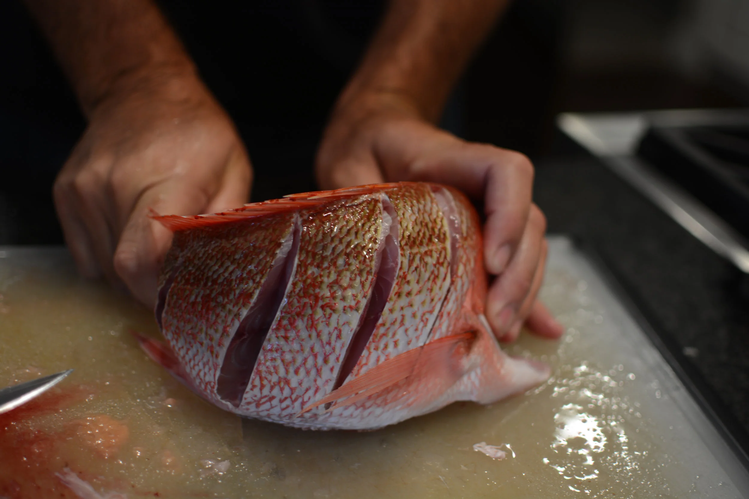 cleaningredsnappercookedwhole