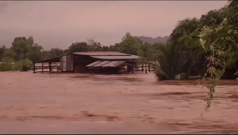 nclvnhanhqucl1bchiacttingbagplmng ezgifcom video to gif converter