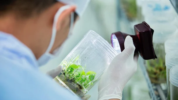 3654 10265072329395289961328983129898509587505636n 1 nongnghiep 113643