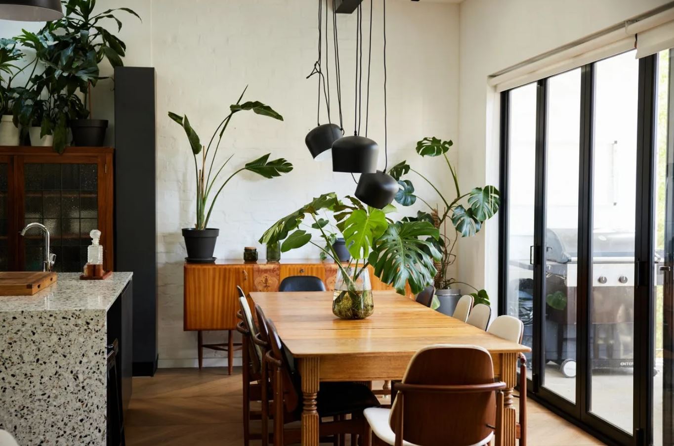 6 vị trí trong nhà tuyệt đối không được đặt cây: Số 3 khiến nhiều người 