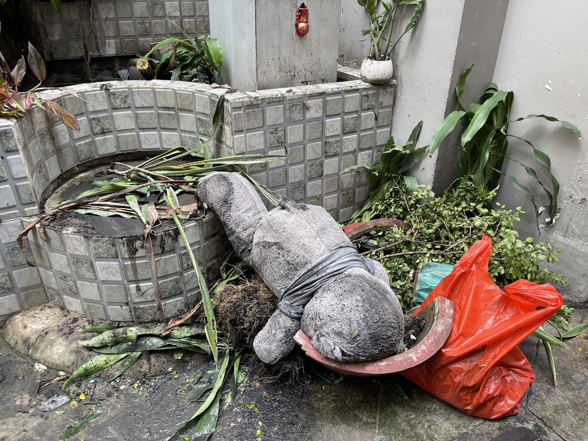 img4262 1764902723665936782071