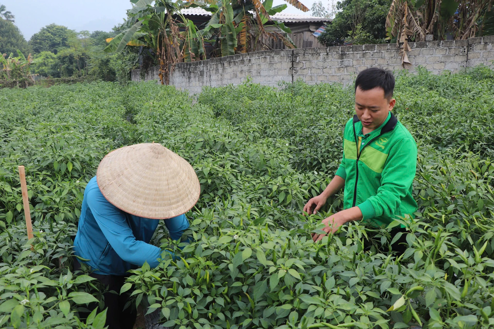 z729478374639814b2b841ad4929dc56077c6e1a360c70 1602