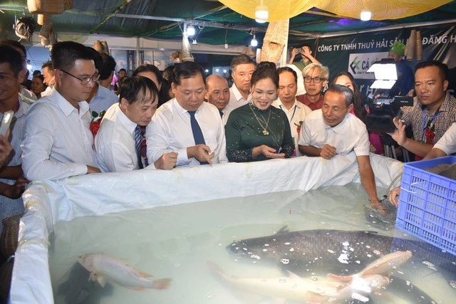 casongda 16984524273731340571306