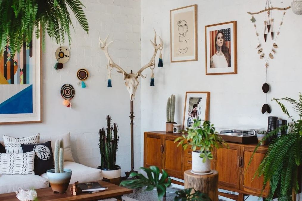 trong cay trong nha 2