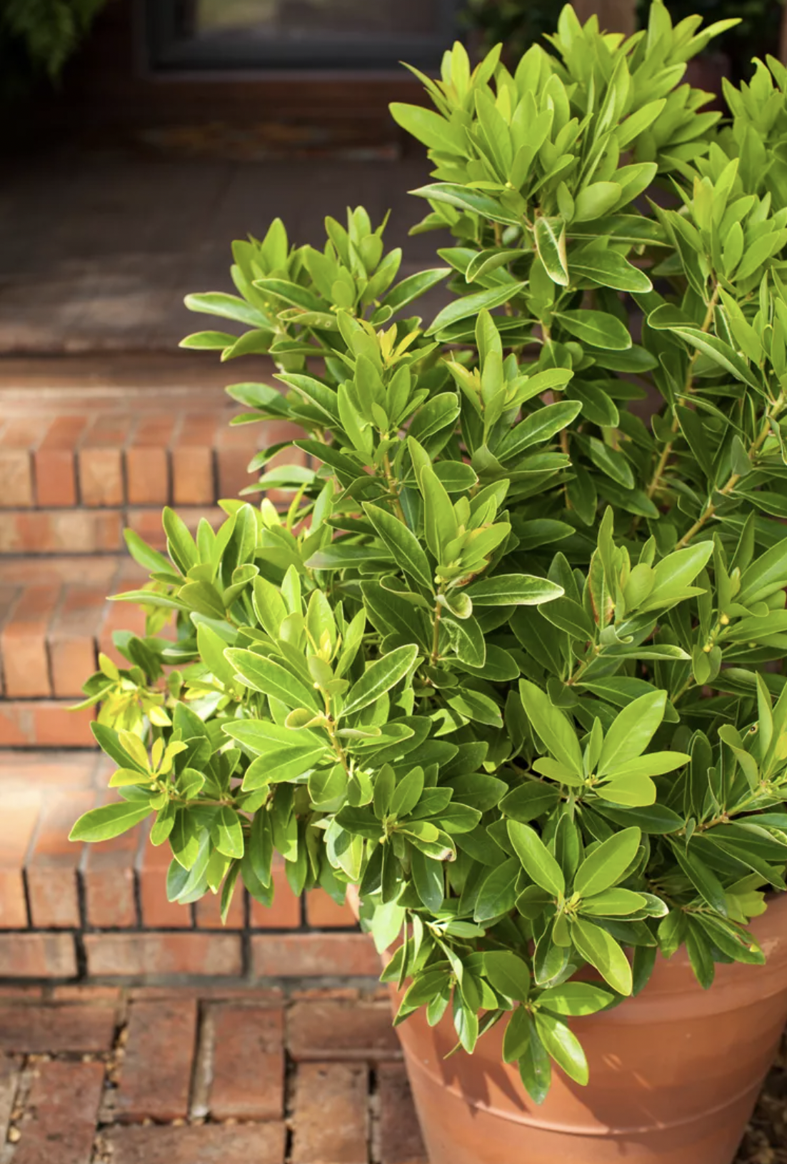 screenshot 2025 12 14 at 165821