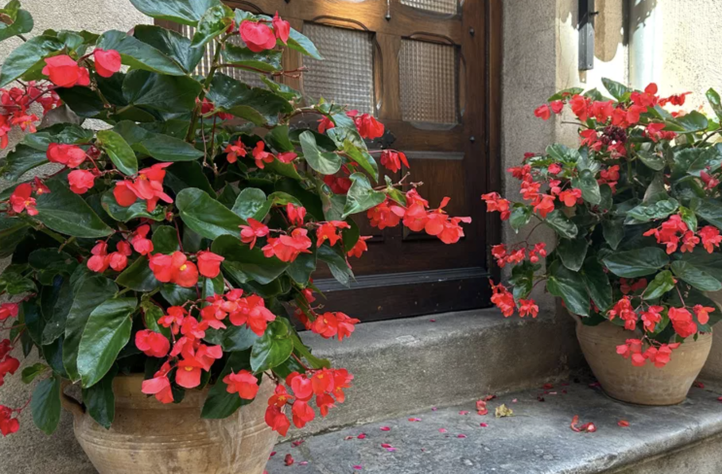 screenshot 2025 12 14 at 165907