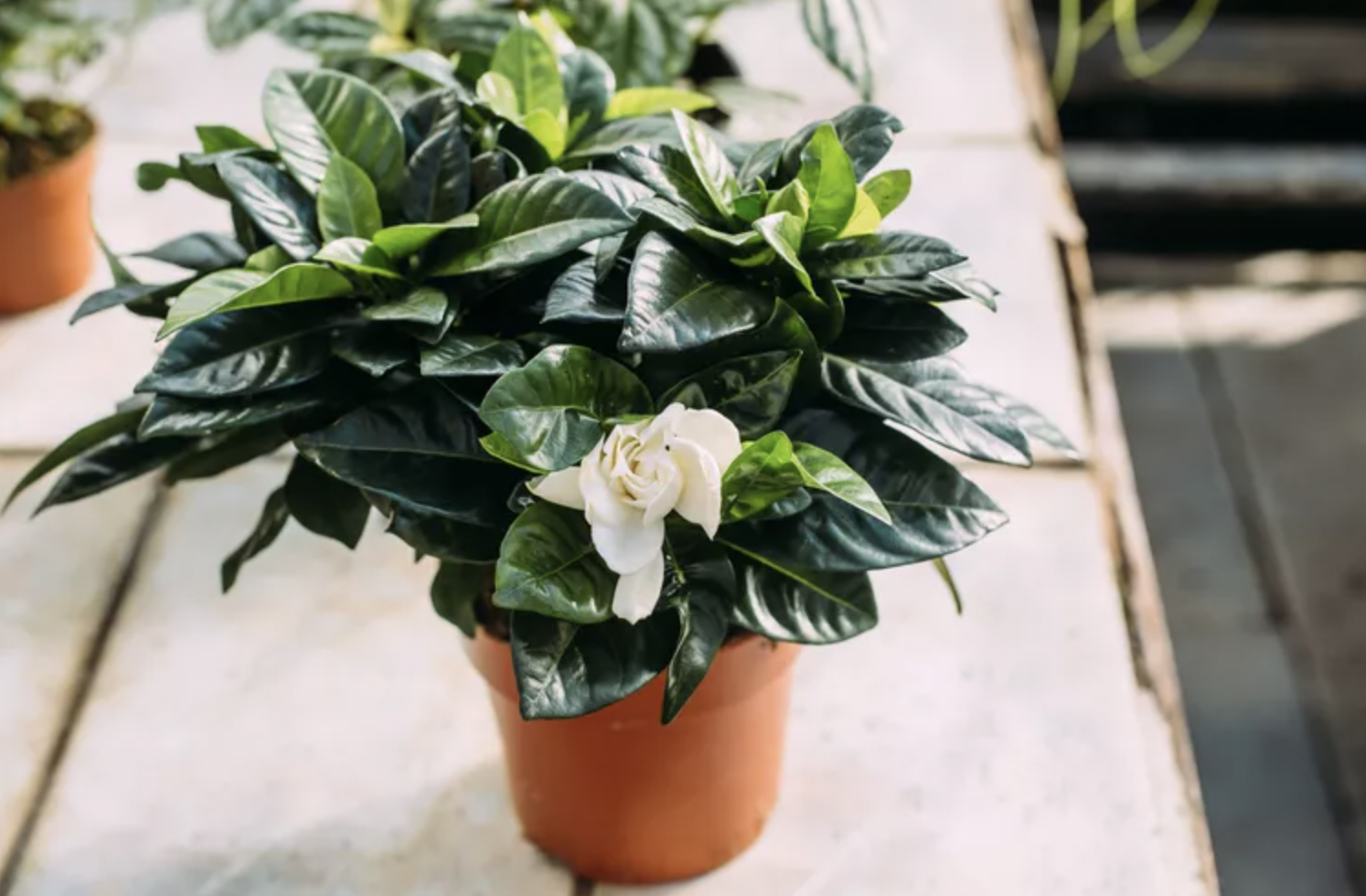 screenshot 2025 12 14 at 165913