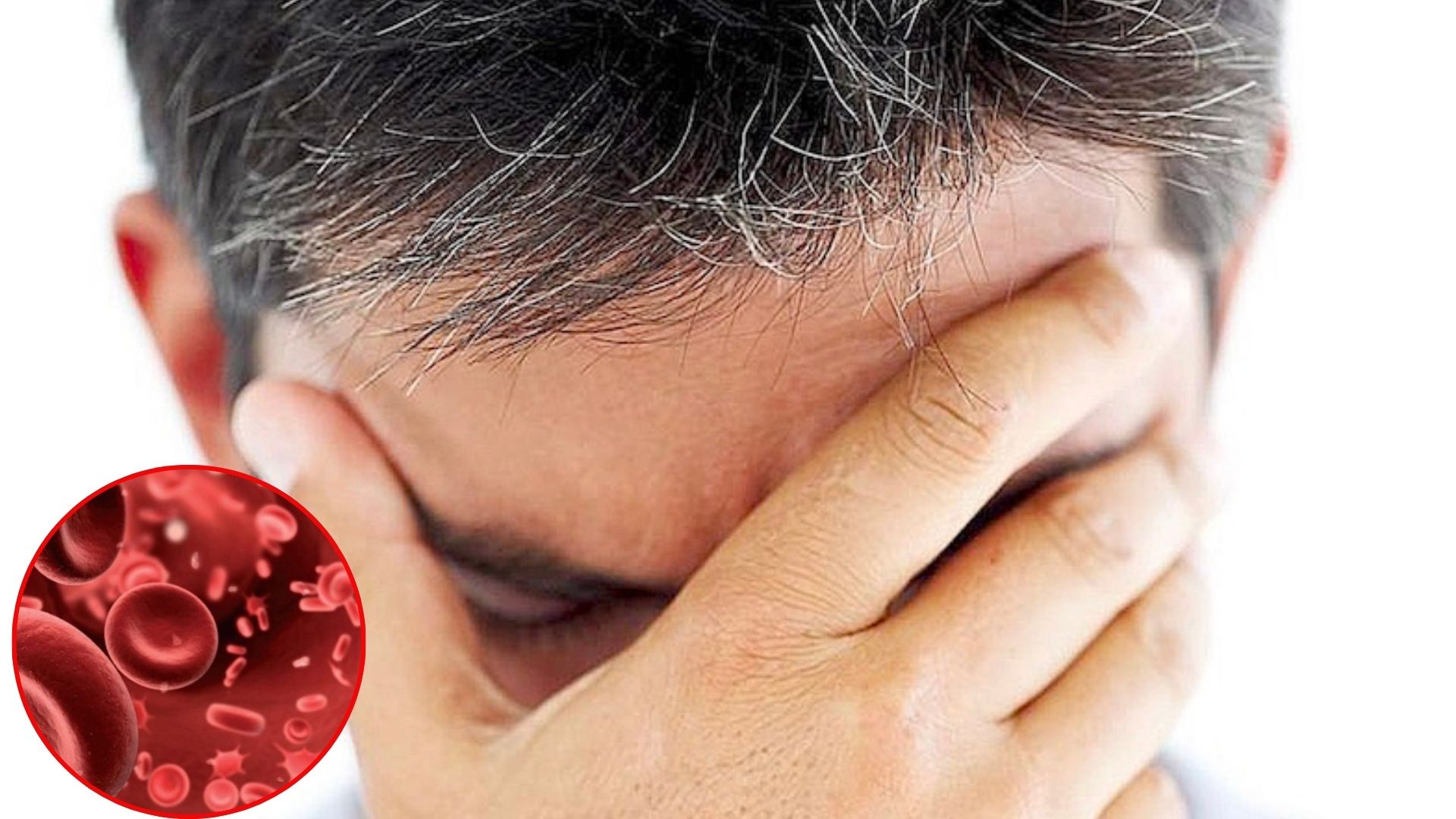 hat nano nhua co the truyen tu me sang thai nhi o chuot