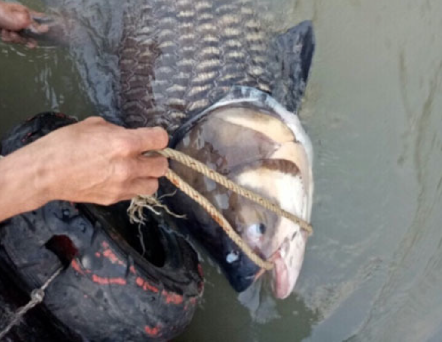 anh chup man hinh 2025 12 18 luc 085422