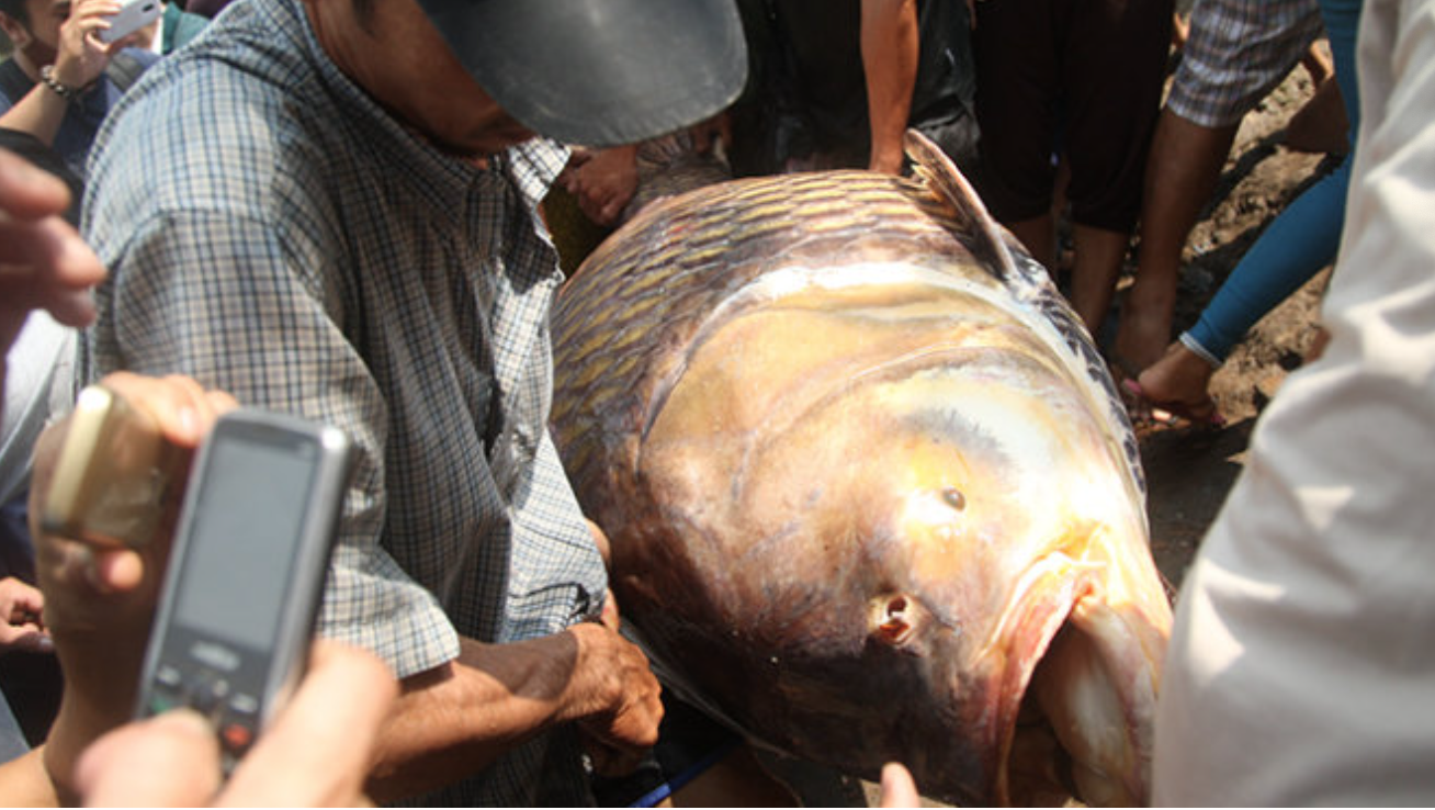 anh chup man hinh 2025 12 18 luc 085728