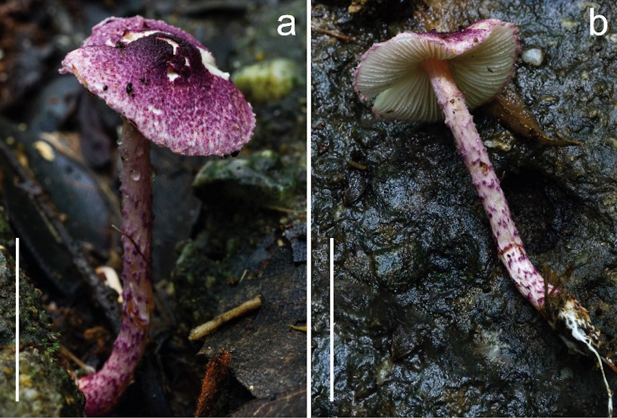 anh chup man hinh 2025 12 18 luc 100210