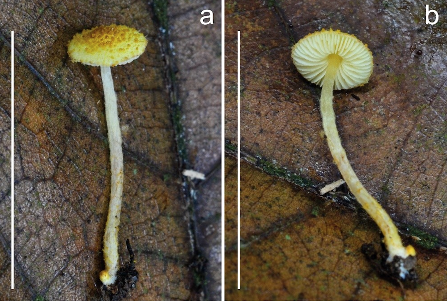 anh chup man hinh 2025 12 18 luc 100224