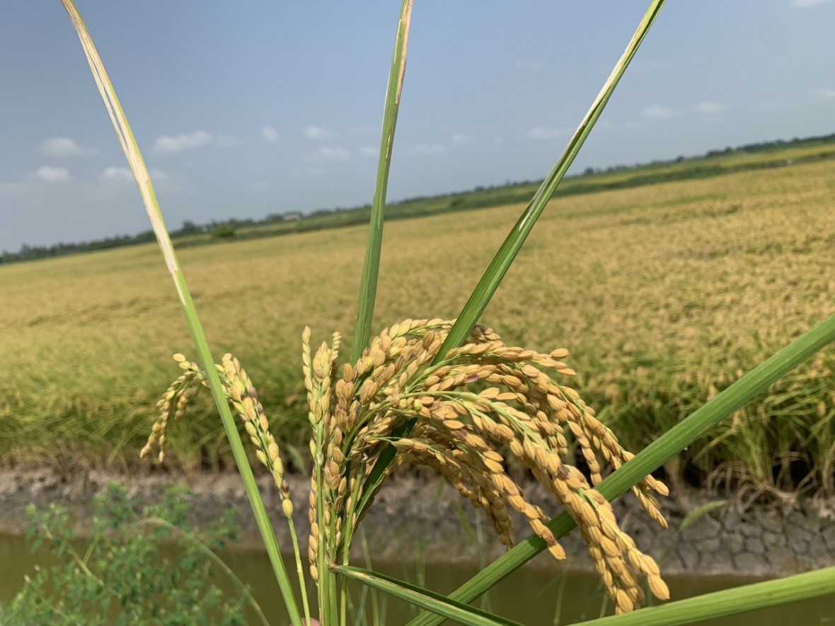 z5047756330039 239b74e26f6fe5eb3d87011c5758567820240814135348