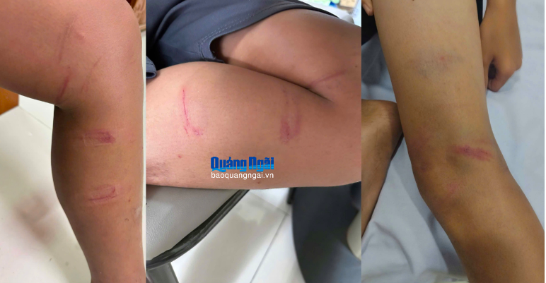 screen shot 2025 12 22 at 104941 pm1