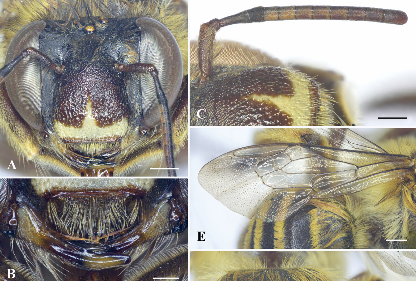 anh chup man hinh 2025 12 23 luc 075721