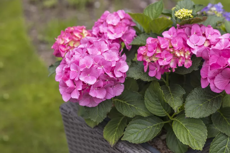 gettyimages 1449648115 947abc158ee64d988849761ac2c05f82