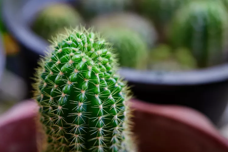 gettyimages 2187178463 6d994947f58a465992b738203c68aa04