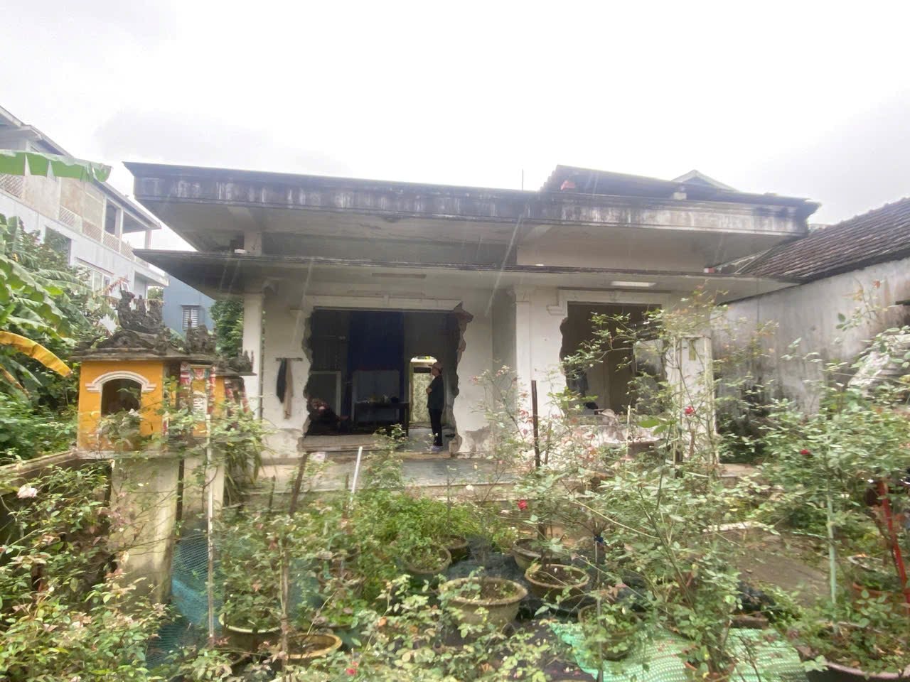 z7352814197446dea9fafda1ec44b5c46ad1f1b21febaa