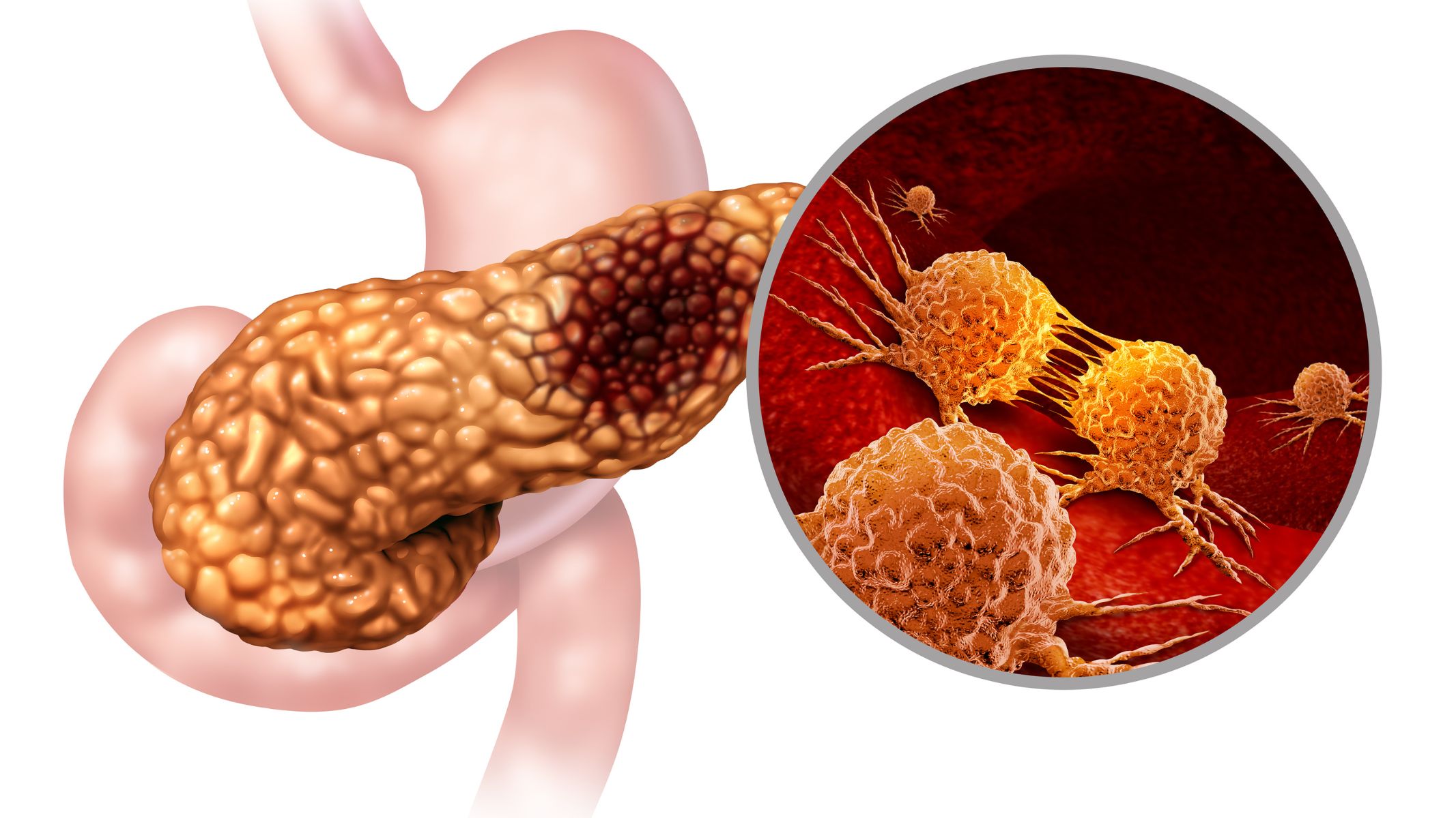 ungthutuyentuygiaidoan4nhungdieubannenbiet19b4b960983