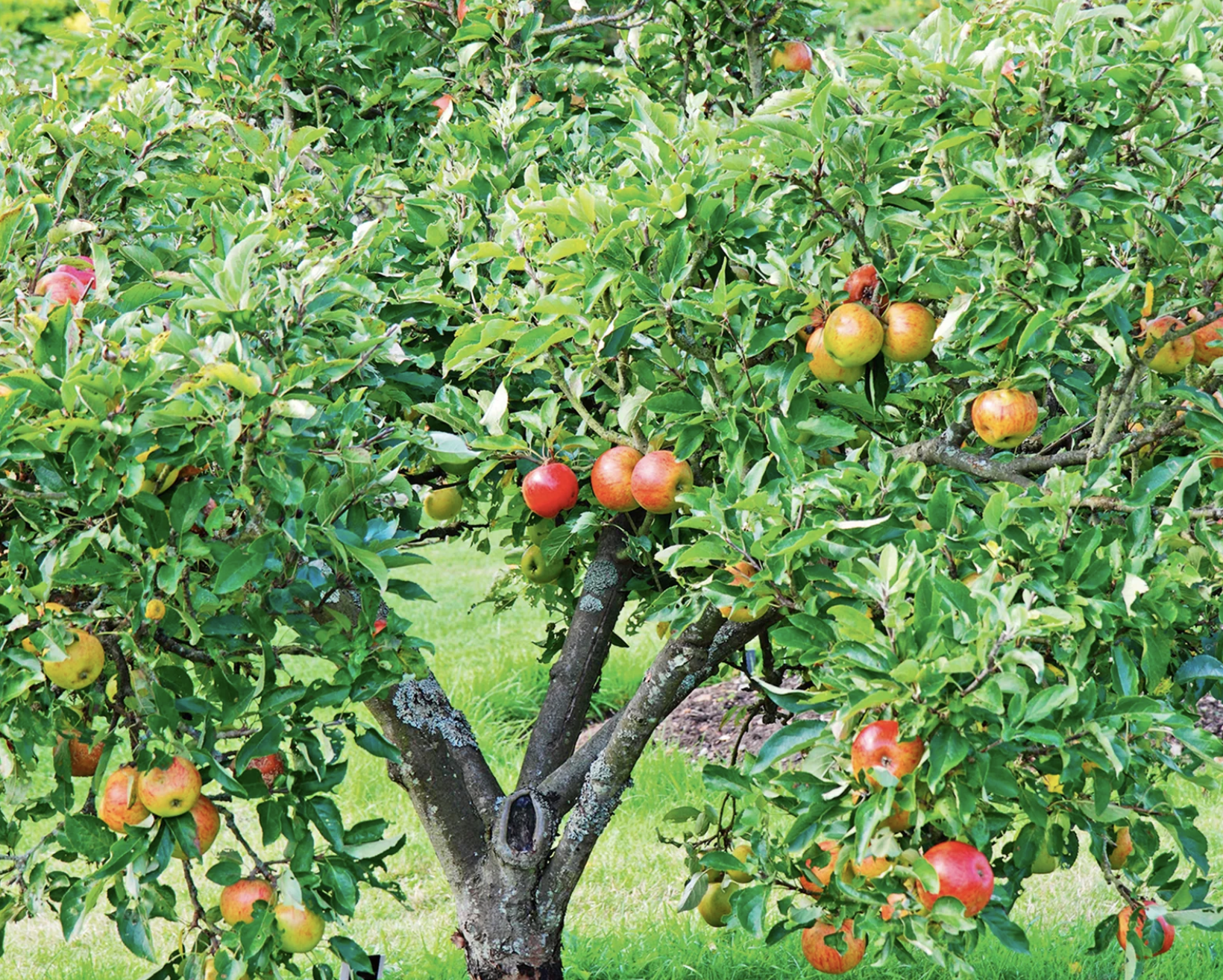 screenshot 2026 01 01 at 162620