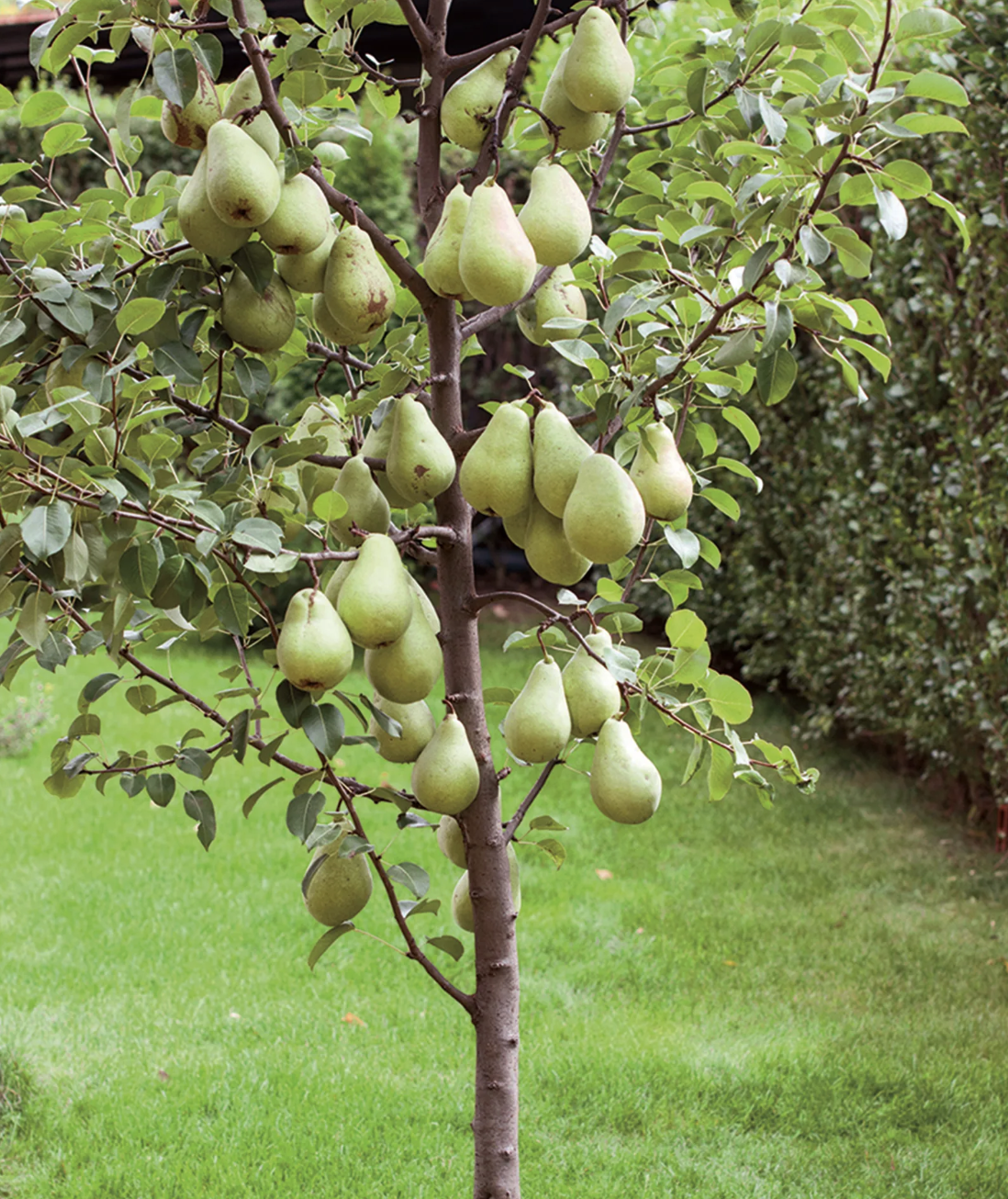 screenshot 2026 01 01 at 162641