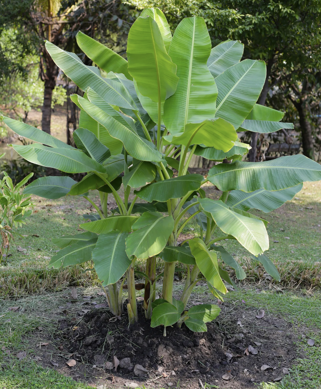 screenshot 2026 01 01 at 162648