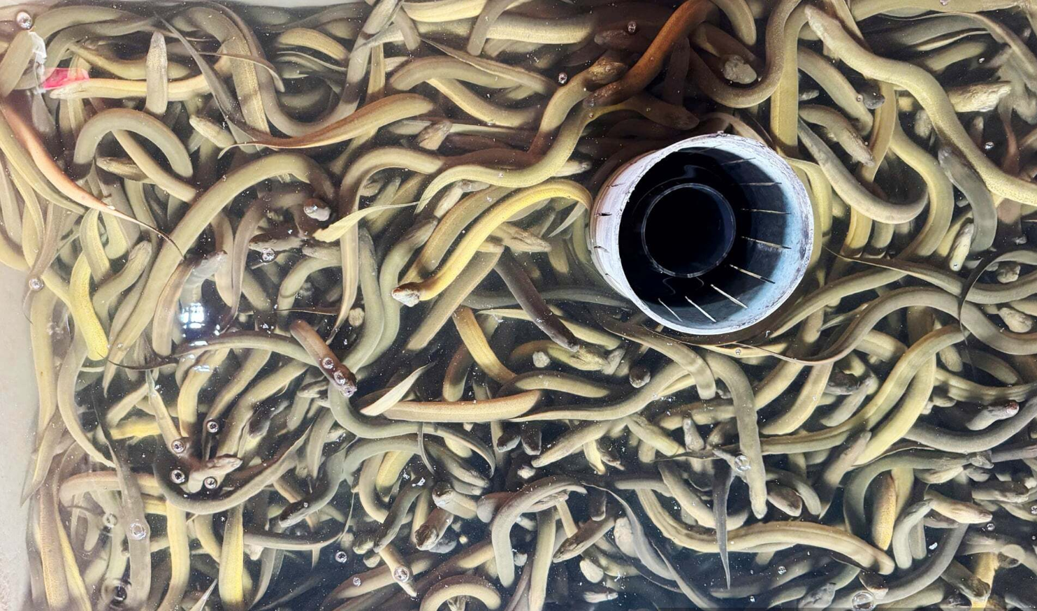 anh chup man hinh 2026 01 03 luc 075533