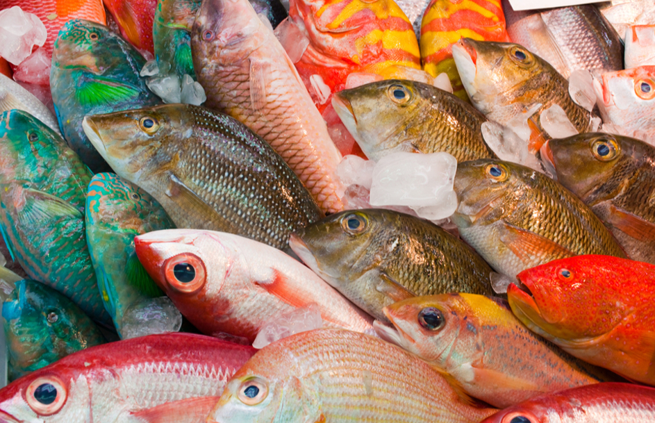 edit bo phan cua ca khong nen an 1767527817812811072008