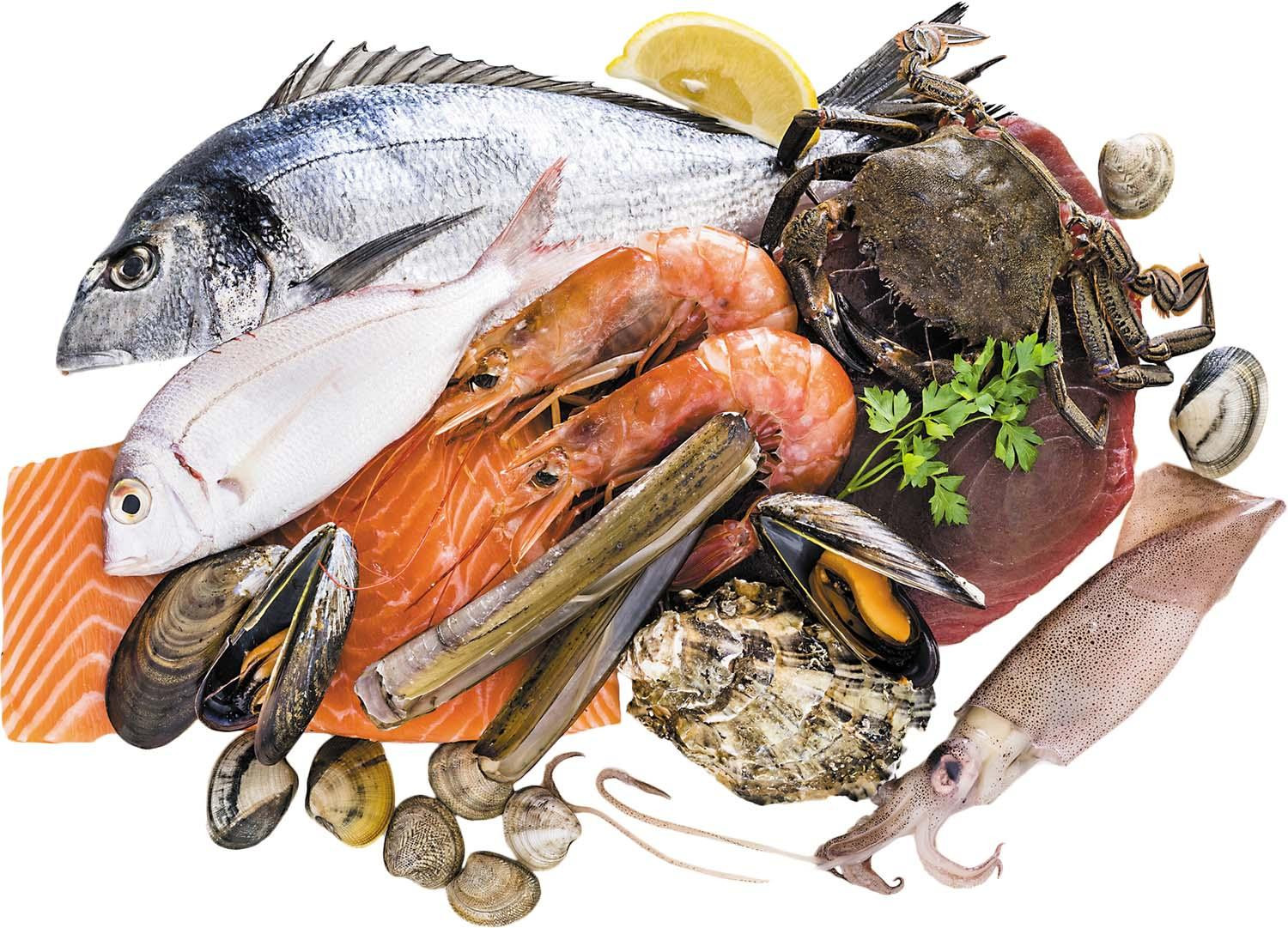 p1 seafoodcollage hh0125 gi1185677996