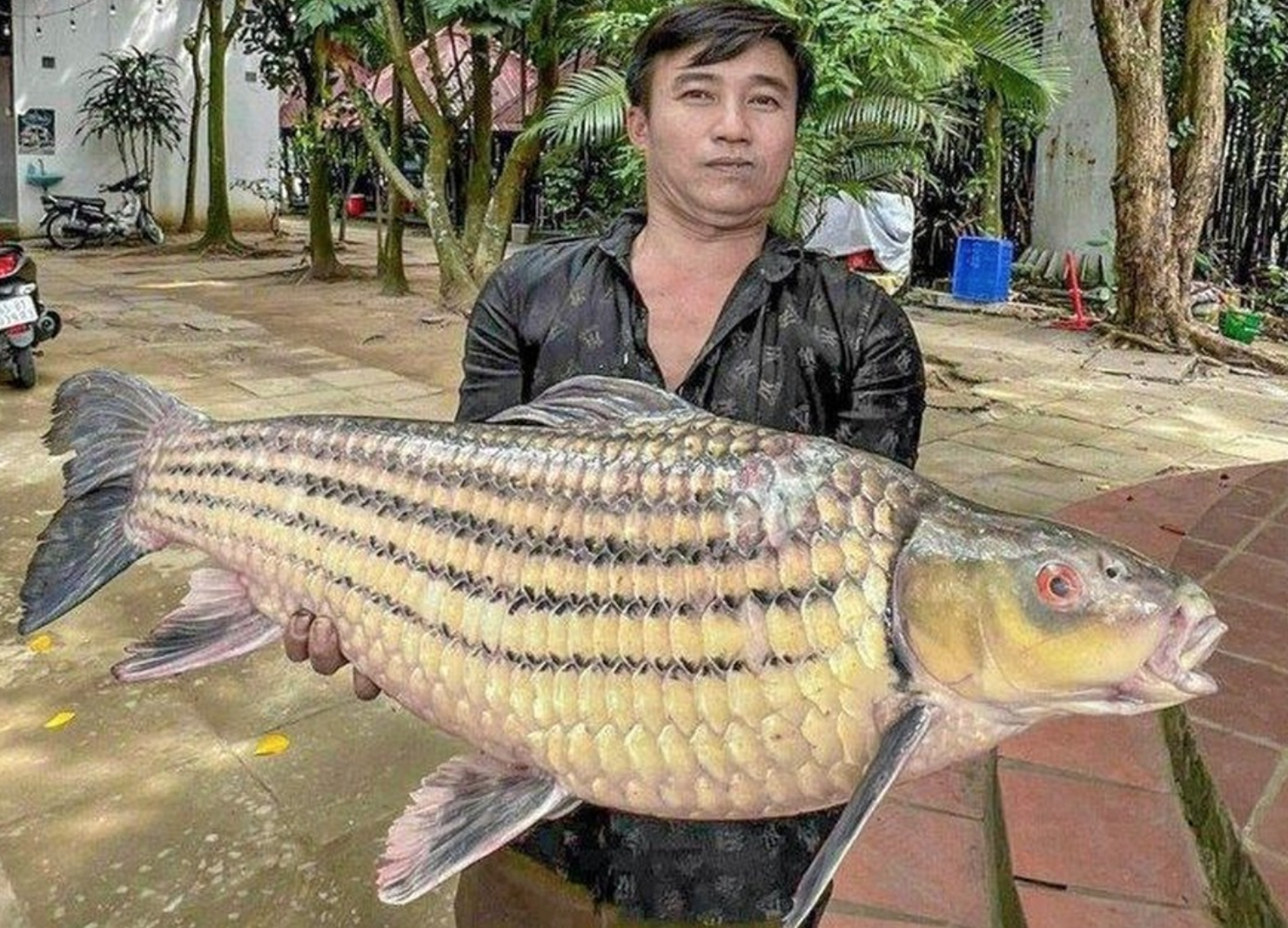 anh chup man hinh 2026 01 06 luc 150047