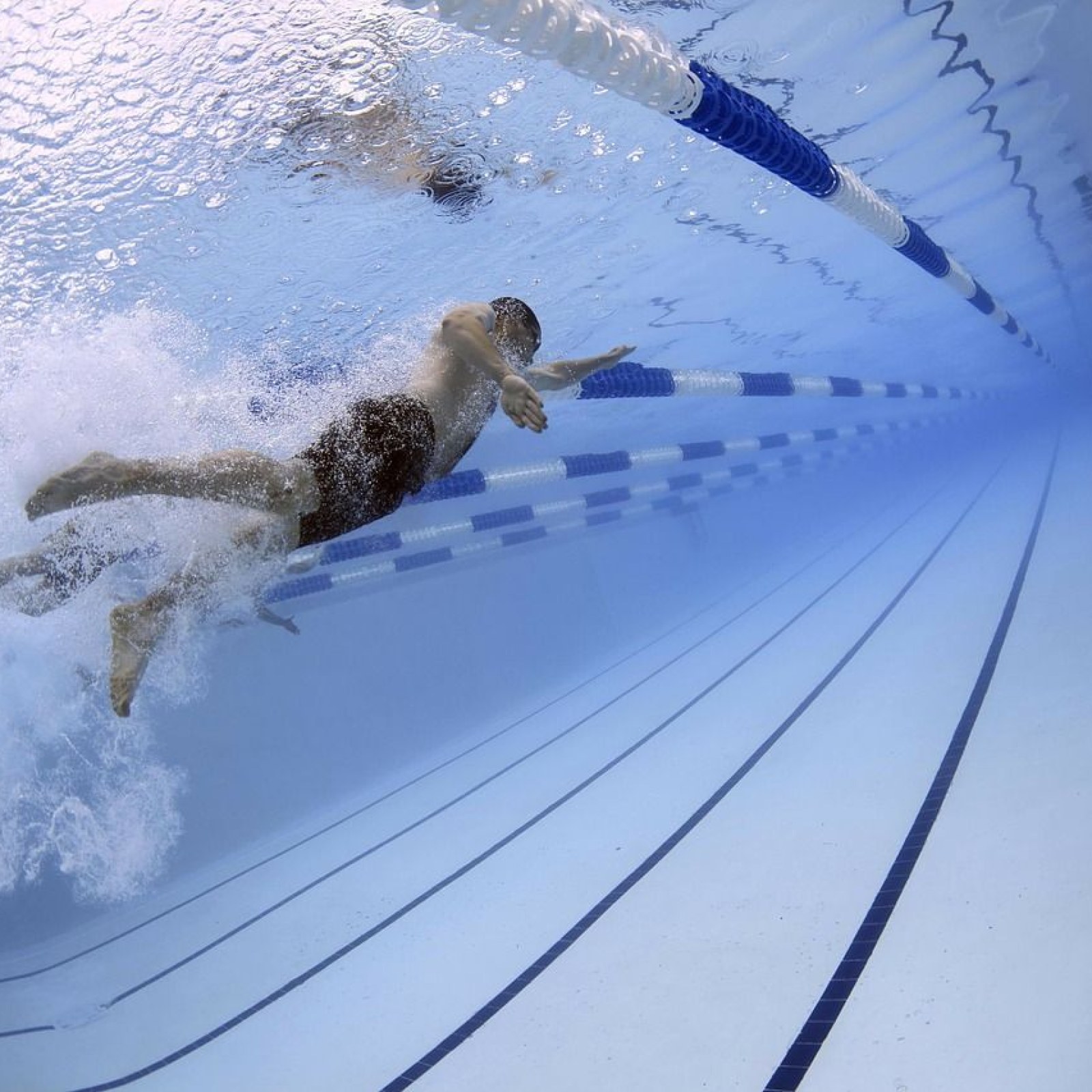 swimming best exercise longevity