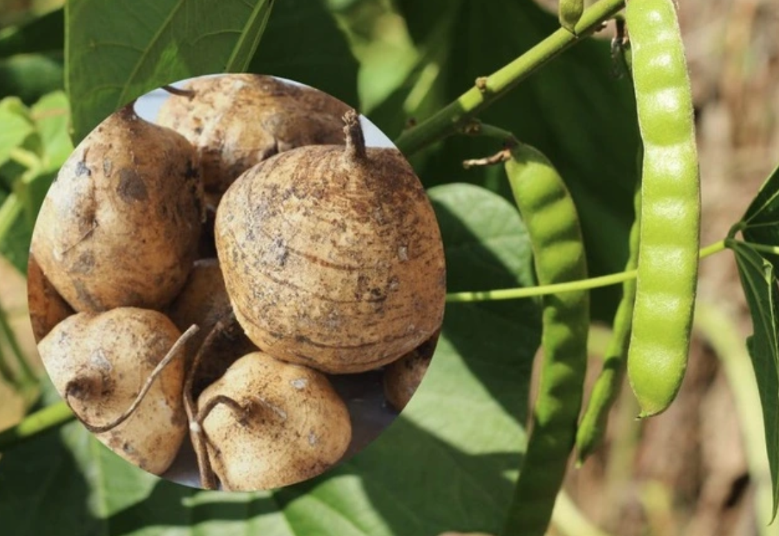 anh chup man hinh 2026 01 10 luc 062746